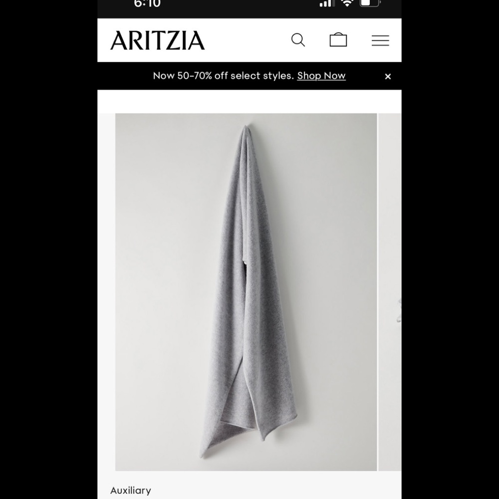 Aritzia Auxiliary Maine Cashmere Light Gray Scarf NWT